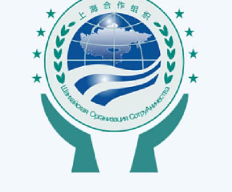 青岛华睿源科技有限公司 门户网站软件开发